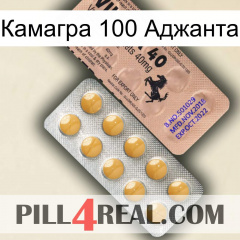 Камагра 100 Аджанта 41